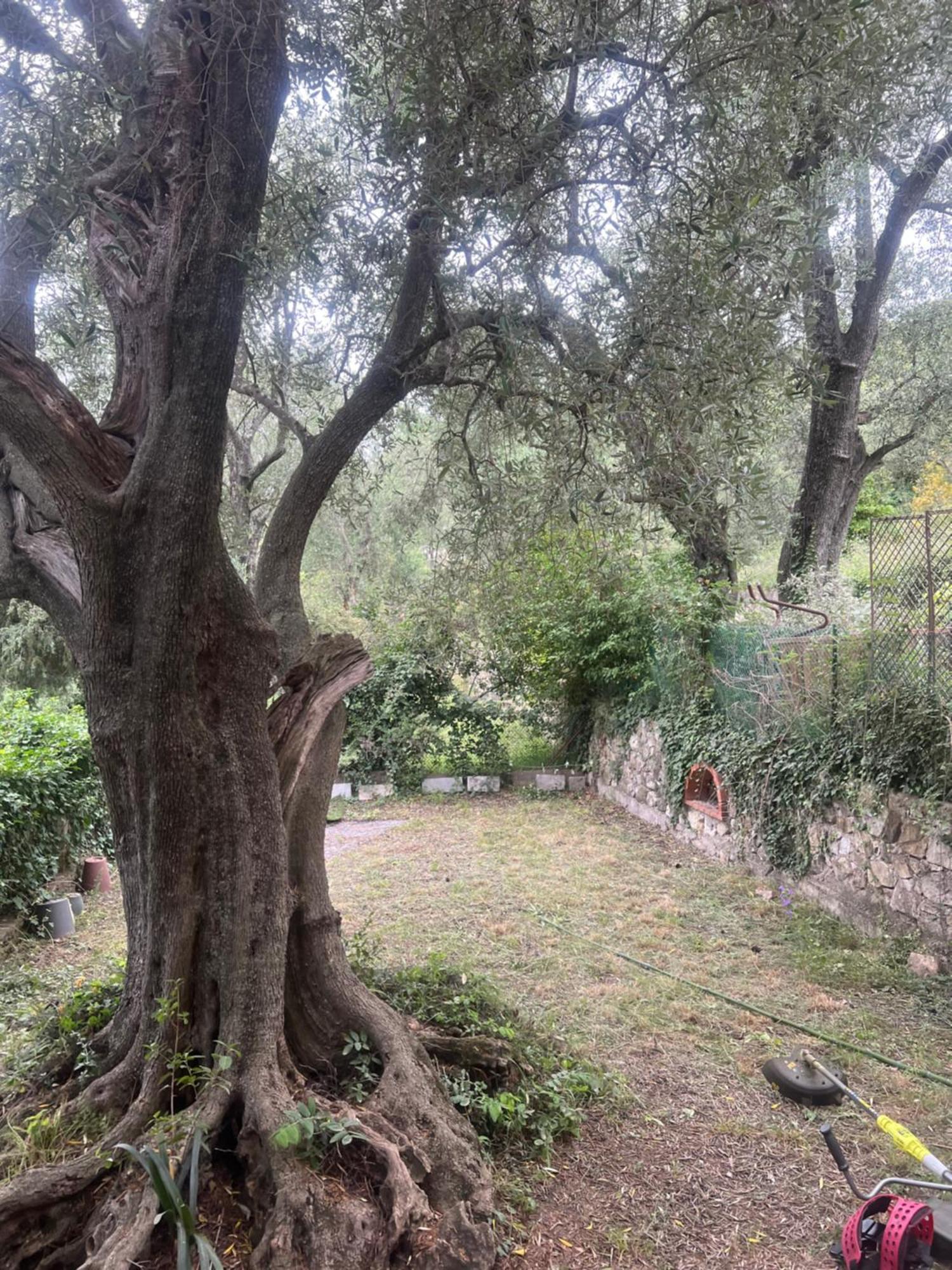 Bas De Villa Vue Mer Eze Village Zewnętrze zdjęcie