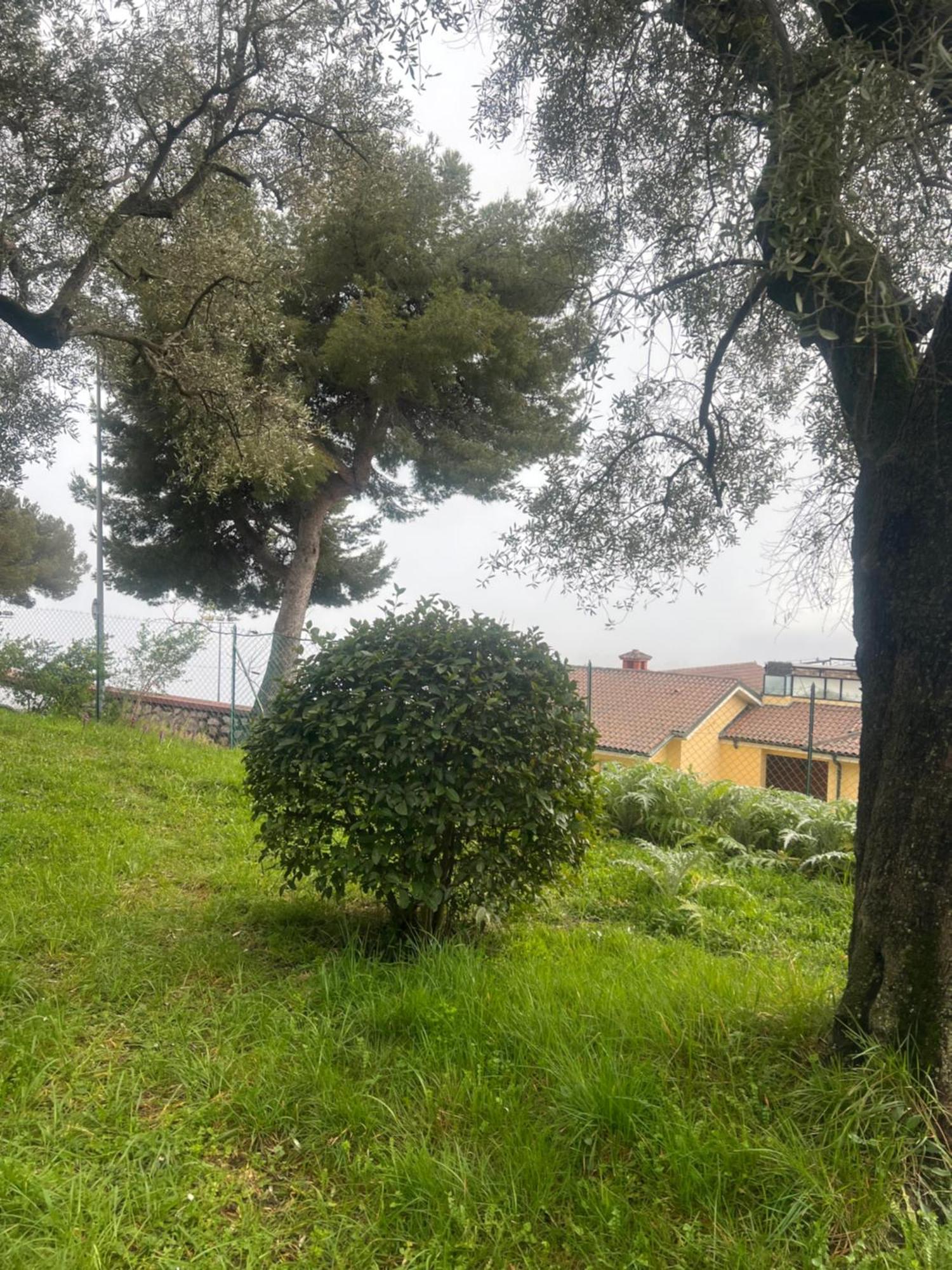 Bas De Villa Vue Mer Eze Village Zewnętrze zdjęcie