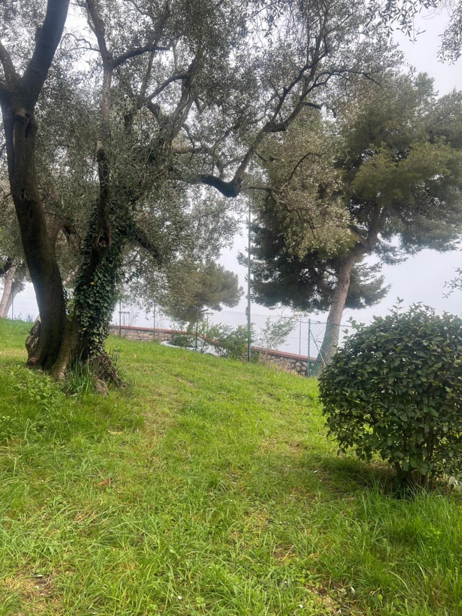 Bas De Villa Vue Mer Eze Village Zewnętrze zdjęcie